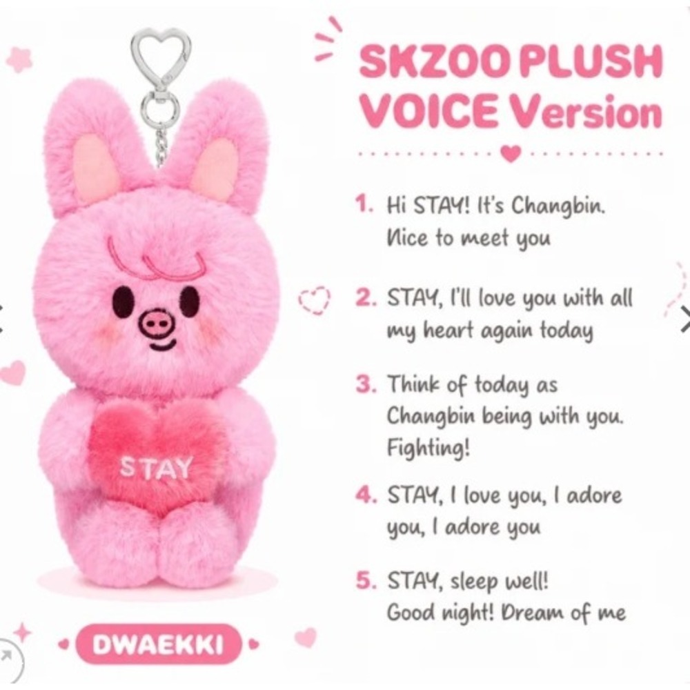 STRAY KIDS DWAEKKI Changbin 6th Fan Meeting Voice Version